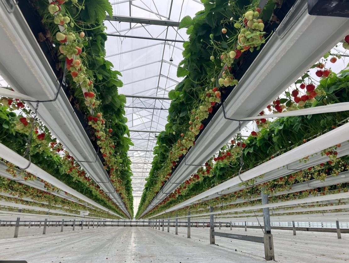 스마트팜 설치를 위한 기술·인허가·지원사업 정리