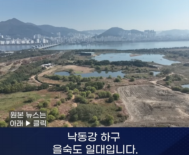 배너 이미지