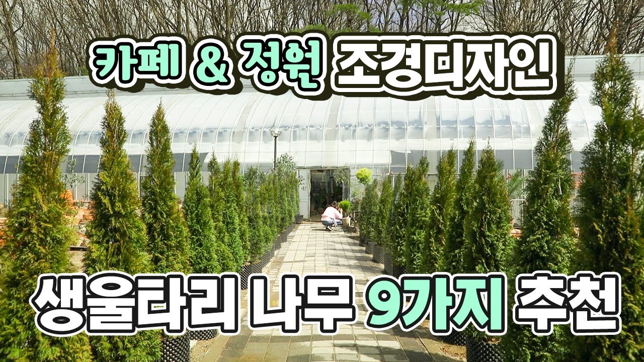 조경 디자이너, 식물 전문가의 조경수 선택 공개합니다!│감성카페 조경, 마당정원 조경