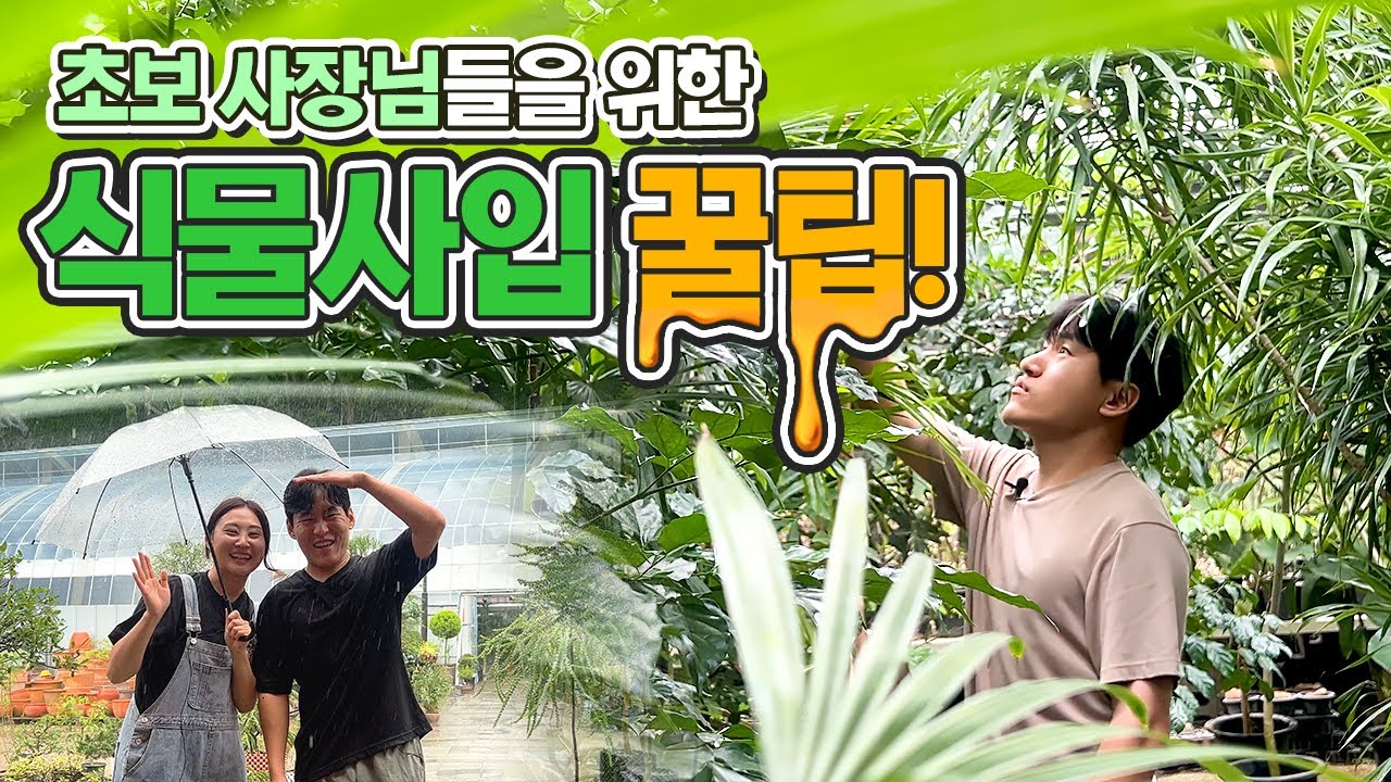 식물가게 꽃집 창업하신다구요?! 초보사장님들을 위한 식물사입 꿀팁!